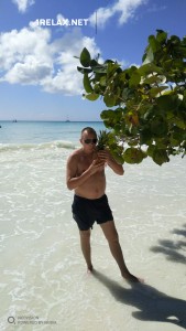 ������� ������ ��������� 